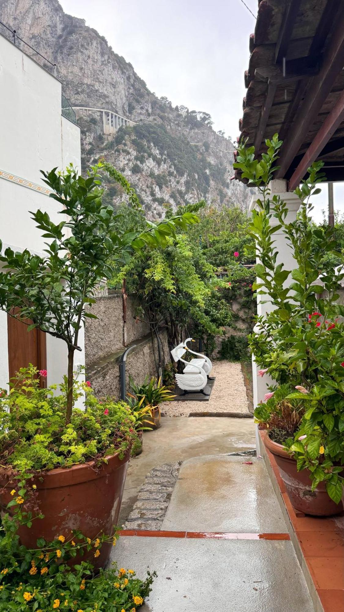 Il Cigno B&B 카프리 외부 사진