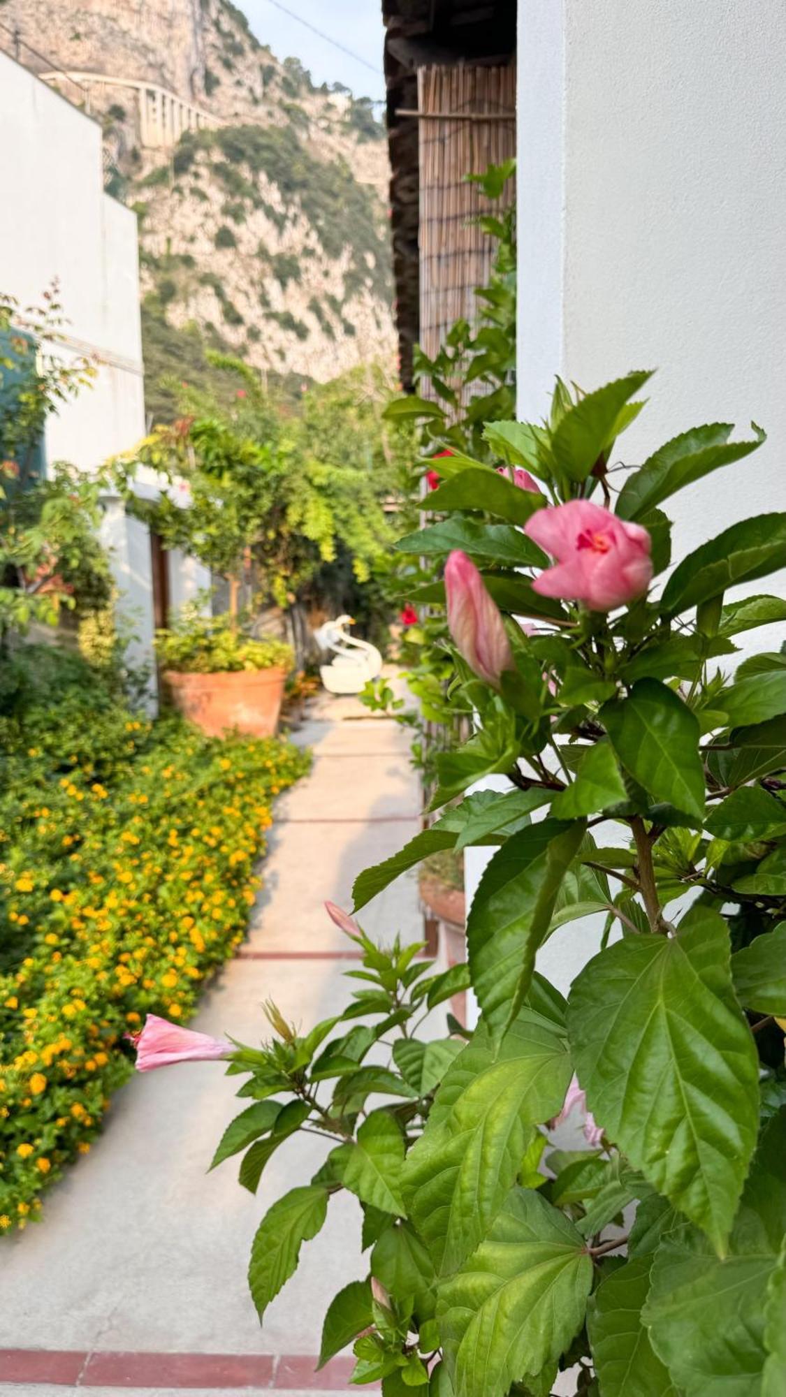 Il Cigno B&B 카프리 외부 사진