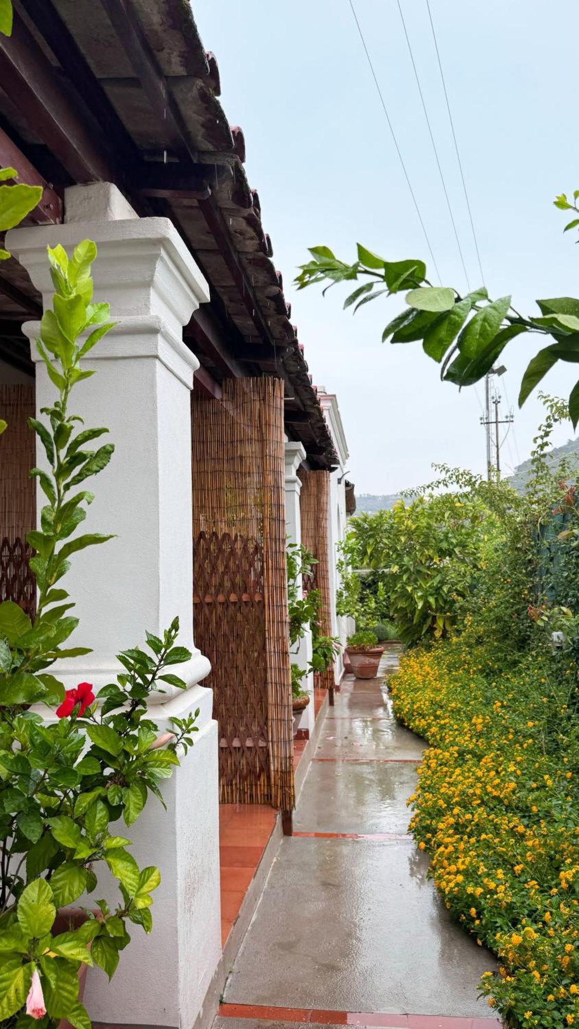 Il Cigno B&B 카프리 외부 사진