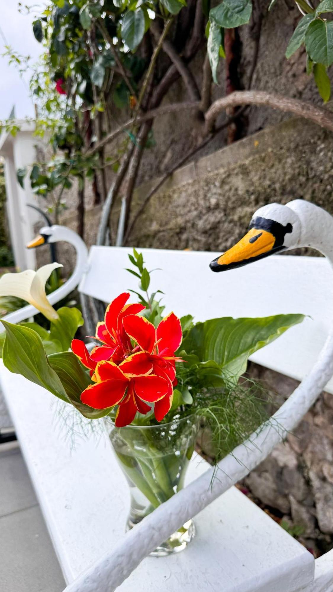 Il Cigno B&B 카프리 외부 사진